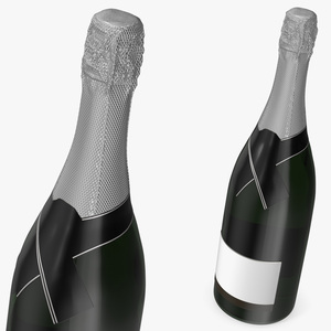 Premium Champagne Bottle 3D model