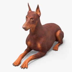 Doberman Dog Brown Lying Down 3D model