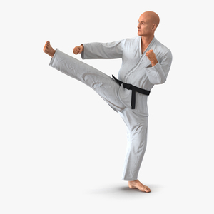 3D Karate Fighter Pose 2