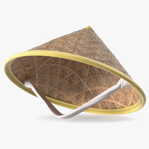 Asian Conical Hat 3D