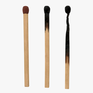 Wooden Match Sticks 3D model