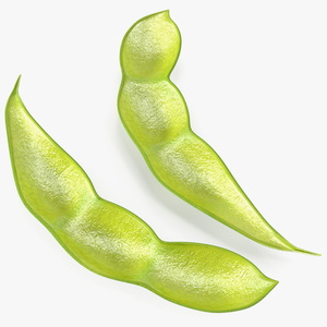 3D Green Soybean Pod Empty model