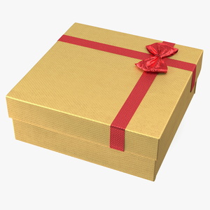 3D Wrapped Gift Box with Ribbon model