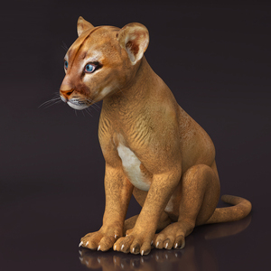 3D model Puma Cub Rigged