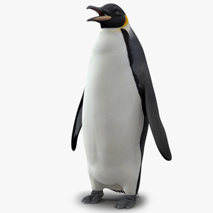 Penguin 3D model