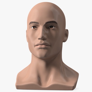 Nude Plastic Male Mannequin Head 3D