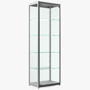 3D model Glass Display Case Wide Silver