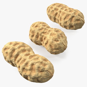 3D Whole Peanuts model