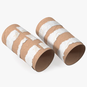 Empty Toilet Paper Tubes 3D model