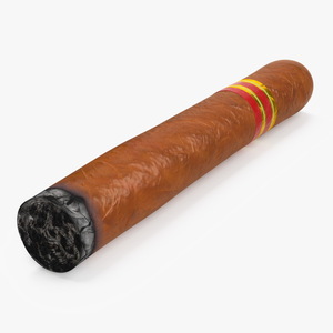 Cigar Thick Lighted 3D model