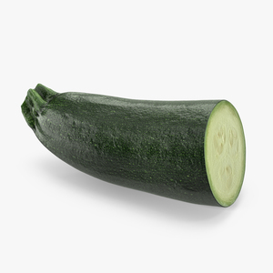 3D Zucchini Half model