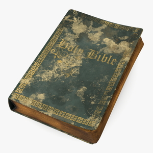 3D model Very Old Closed Book