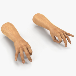 Man Hands 2 with Fur Pose 5 3D