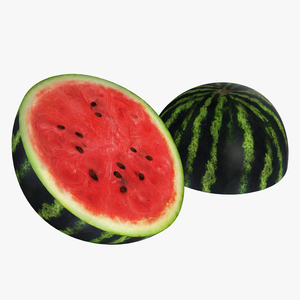 Watermelon Cross Section 2  3D