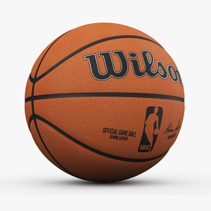 3D NBA Official Game Basketball Ball model