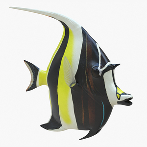 3D Moorish Idol Tropical Fish Rigged model