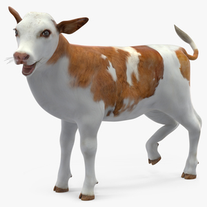 3D model Cow Calf Rigged