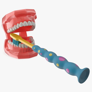 3D Dental Model with Kids Toothbrush model