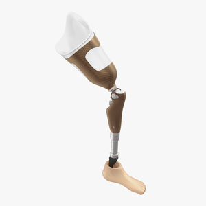 3D Prosthetic Leg Rigged