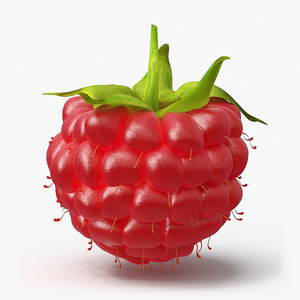 3D Red Ripe Raspberry model