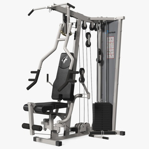 Multifunctional Home Gym Station 3D