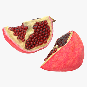 Pomegranate Slice 3D