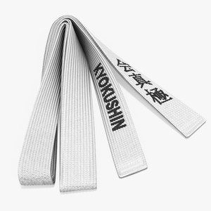 Obi Kyokushin Belt White 3D model