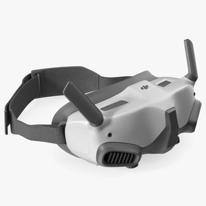 3D model Awaken DJI Goggles 2 Idle