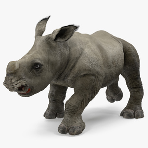 Rhino Baby Walking Pose Fur 3D