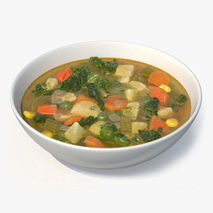 Vegetable Soup 3D model