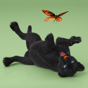 Playful Black Panther Cub with Butterfly Fur 3D model