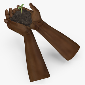 3D Afro American Hands Holding Seedling