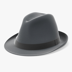 3D model Grey Hat