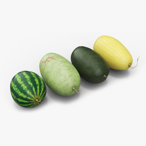 3D model Watermelons Set