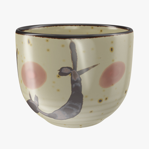 Japanese Cup 3D