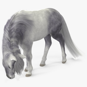 White Pony with Long Mane Grazing Fur 3D