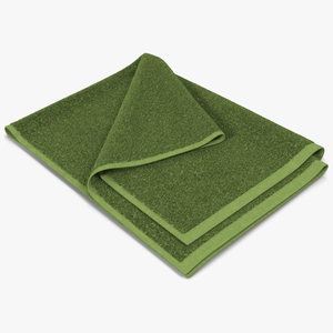 Towel 4 Green with Fur 3D