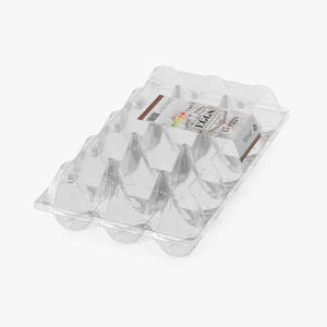 Empty Egg Plastic Packaging for 15 Chicken Eggs 3D