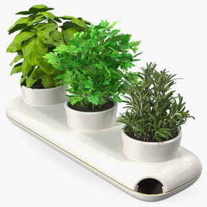 Trio Pot with Herbs Sagaform White 3D model