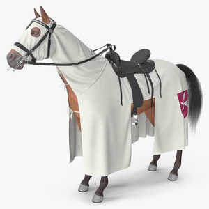 Crusader Horse Armor Fur 3D model