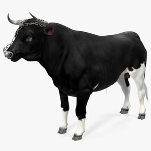 Bull with a Chain 3D