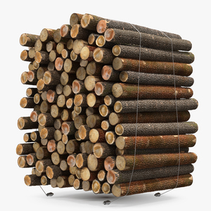 3D Pile of Small Wood Logs model