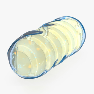 3D Mitochondrial Cell model