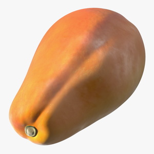 Papaya Fruit Orange 3D model