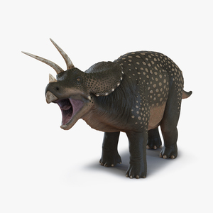 3D Triceratops Rigged model