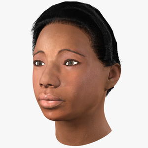 African American Female Head Fur 3D