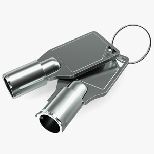 3D model Security Tubular Key