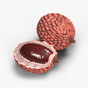 Lychee Fruit Pink 3D