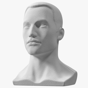 Styrofoam Male Mannequin Head with Hair 3D model