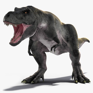 3D T Rex Roaring Animated Rigged for Cinema 4D model